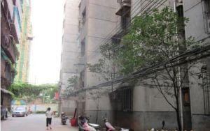 桂花公园地铁口的房子,价格便宜,