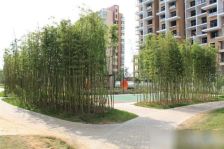 一环内 地铁口 近步行街 逍遥津公园 精装修带墙暖