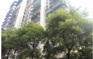 省委向阳湖旁丶华联花园电梯房读燕山