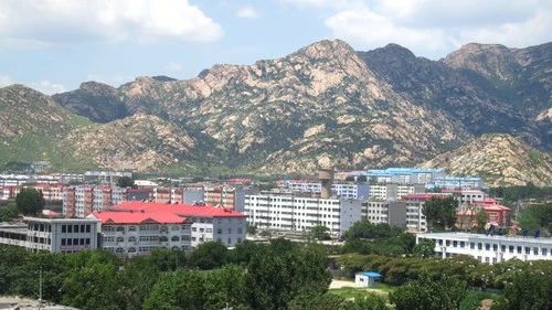 碣石花苑实景图