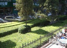 车公庄官园桥物华大厦2000年楼龄近地铁