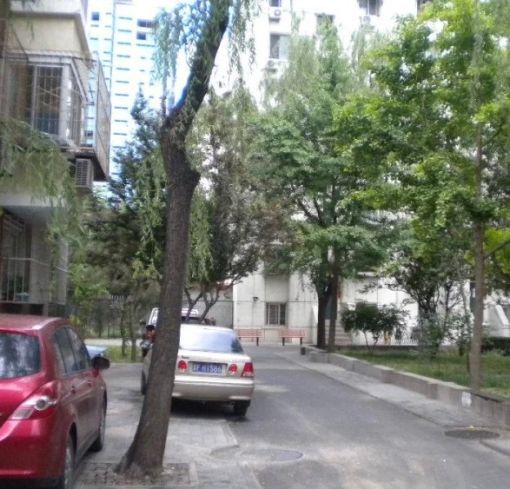  ����Է50��Ժ3��1��1���ϱ�����8000.00Ԫ/�³��� 