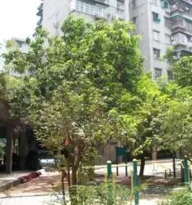 中兴苑实景图