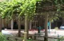 中兴苑实景图