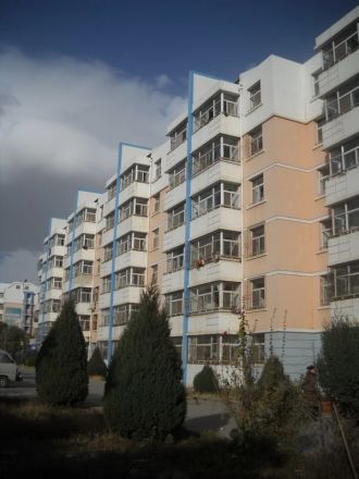 亲水苑实景图