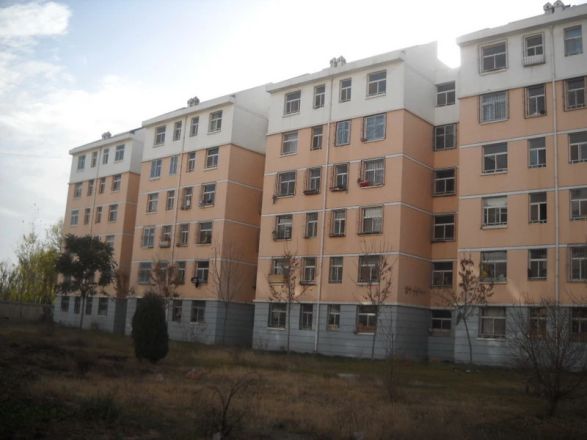 亲水苑实景图