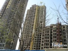 融科林语 4室1厅 南 北