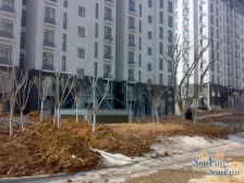 阳光上城一室一厅 精装 电梯房 有小棚