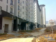 阳光上城 1室1厅 南