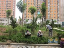 美航花园德胜凯旋花园住宅精装修小2室电梯好楼层急售