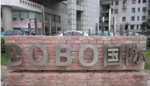 BoBo国际大厦 2室1厅 南 北