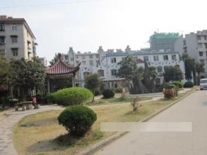 滨海公园河景房,高楼层,采光好