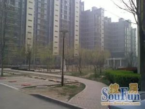 大瓦窑绿洲家园1室1厅南北