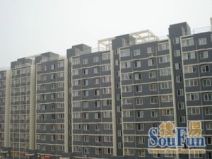 战区力荐青塔商圈绿洲家园南北通透一居三阳台落地窗
