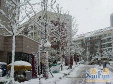 海信慧园多层洋房楼位好不临街三室带个书房精装修直住