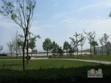 天鸿,海景房,东打头,采光视野好,精装修客厅带东窗