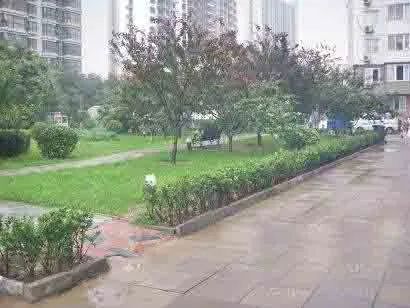 民望家园实景图