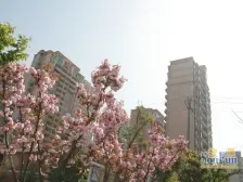 天马相城二期 6室2厅 南 北