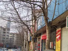 西山路 2室1厅 南 北