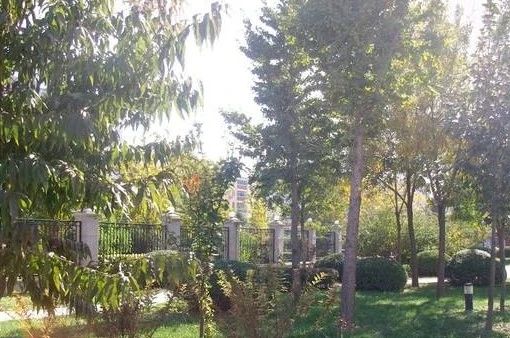 晾果厂1号院实景图