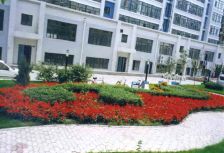 中财雅典城,南北通透,格局办证