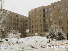 柏林四季1室0厅东