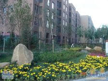 大学城柏林四季五室两卫大明厅
