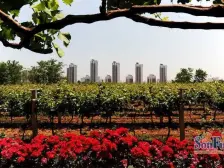 天马三期小平方的 高楼层 看房方便 满2