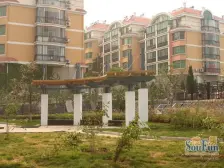 高楼层 东打头毛坯 海景房 采光好 视野开阔