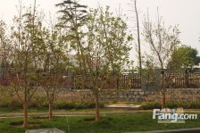 中天盛世观澜+海昌渔人码头旁+二楼大平层+*