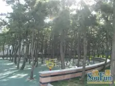 碧海苑步梯纯四楼的房子位置好近海