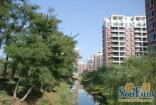 南山碧海苑实景图