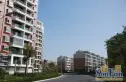 南山碧海苑实景图
