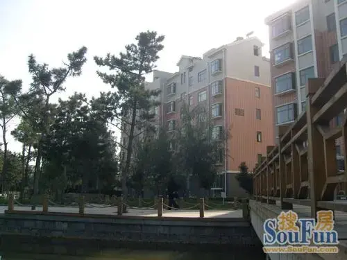 南山碧海苑实景图