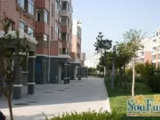 南山碧海苑 2室2厅 南 北