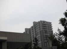 一栋苑3室1厅南西北