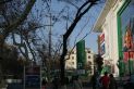 方中圆小区实景图