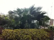 龙头寺公园旁 住家安静 高品质小区 业主诚心卖房