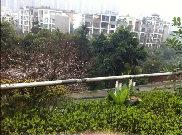 鲁能星城实景图