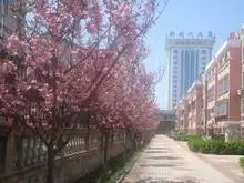 海滨花园 7室3厅 南 北