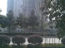 龙洲湾区府旁精装两房,此方在小区装修中保持较好房源