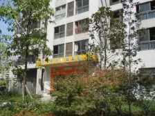 诺丁阳光 1室1厅 东 东南