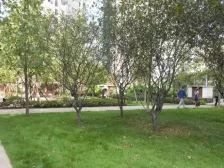 小龙坎 诺丁阳光二房70万