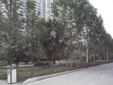 诺丁阳光 2室2厅 西南 东北