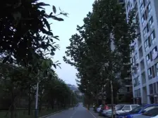 诺丁阳光 1室1厅 南