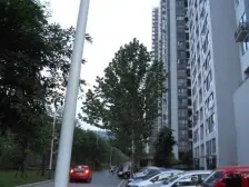 诺丁阳光朝南一室一厅好出租带小区适合住家