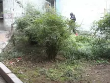 水市巷 2室1厅 南