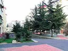 大兴街好楼层一梯两户南北通透采光好楼下停车方便