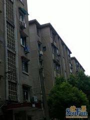 药检所宿舍大院内环境好市政供暖停车方便