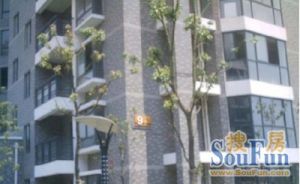 合肥一中生活区3室1厅南
